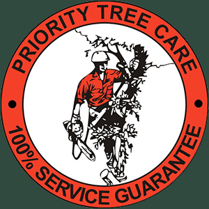 Priority Tree Care