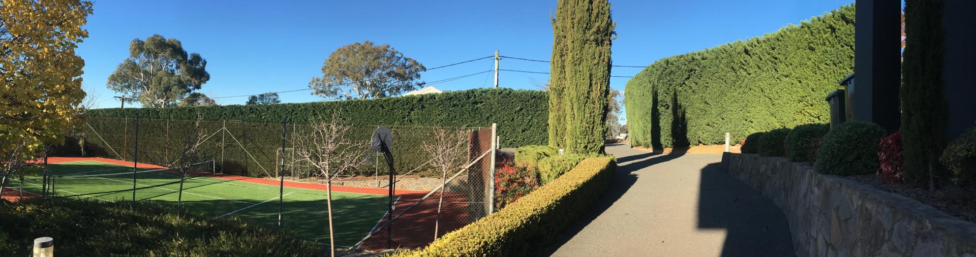 Hedge Trimming Canberra Priority Tree Care
